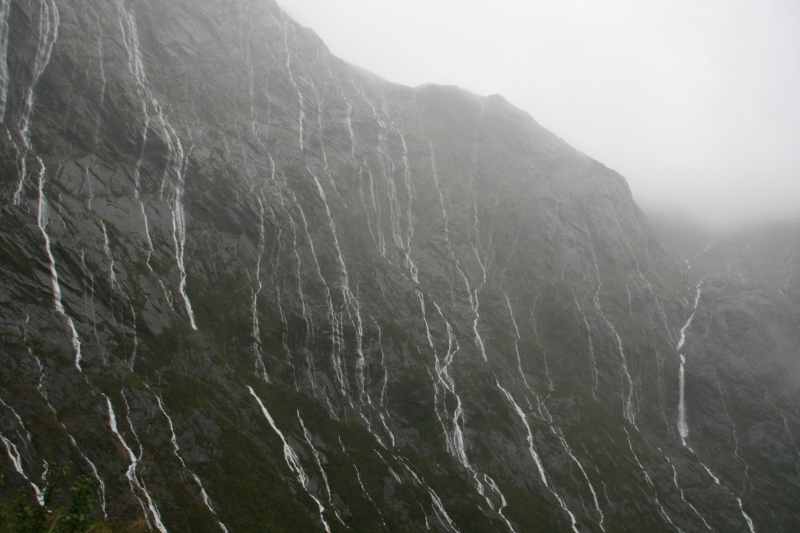 Nieuw-Zeeland 2011 - 1683